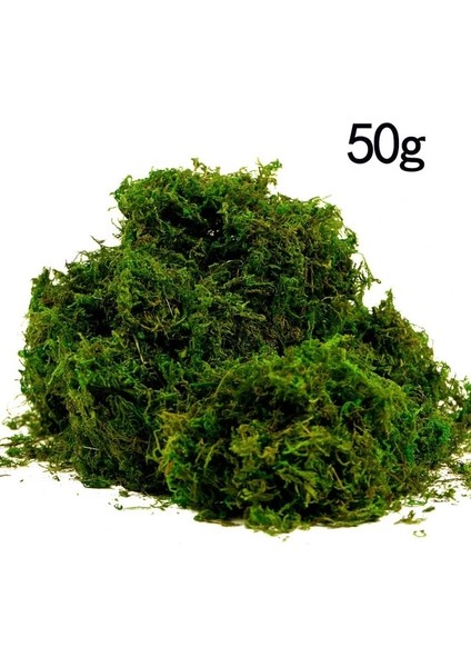 50G Sahte Yosun Yapay Taze Yeşil Yosun Düğün Centerpieces Bahçe Teraryum Dekorasyonu Için (Yurt Dışından)