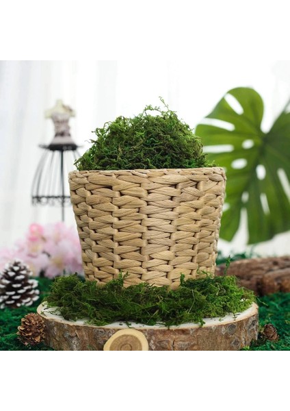 50G Sahte Yosun Yapay Taze Yeşil Yosun Düğün Centerpieces Bahçe Teraryum Dekorasyonu Için (Yurt Dışından) modelleri