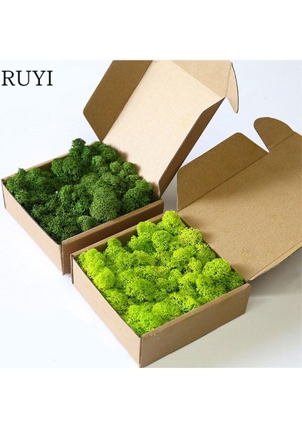 Q1 20G Yapay Bitkiler Sonsuz Yaşam Yosun/bahçe Ev Dekorasyon Duvar Dıy Çiçek Malzemesi Mini Bahçe Mikro Peyzaj Aksesuarları (Yurt Dışından) fiyatları