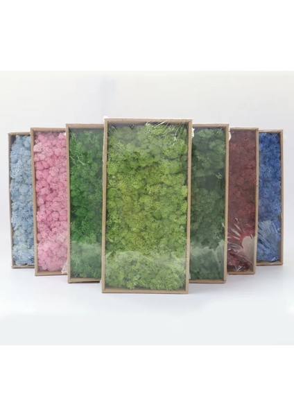 Q1 20G Yapay Bitkiler Sonsuz Yaşam Yosun/bahçe Ev Dekorasyon Duvar Dıy Çiçek Malzemesi Mini Bahçe Mikro Peyzaj Aksesuarları (Yurt Dışından) modelleri