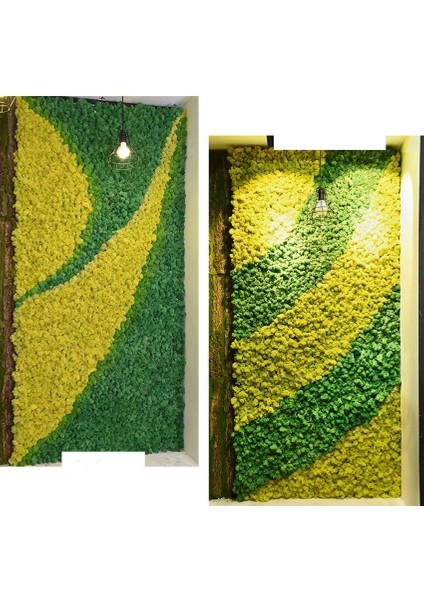 Q1 20G Yapay Bitkiler Sonsuz Yaşam Yosun/bahçe Ev Dekorasyon Duvar Dıy Çiçek Malzemesi Mini Bahçe Mikro Peyzaj Aksesuarları (Yurt Dışından) fırsatları