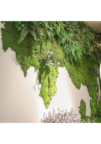 Q1 20G Yapay Bitkiler Sonsuz Yaşam Yosun/bahçe Ev Dekorasyon Duvar Dıy Çiçek Malzemesi Mini Bahçe Mikro Peyzaj Aksesuarları (Yurt Dışından) indirimleri