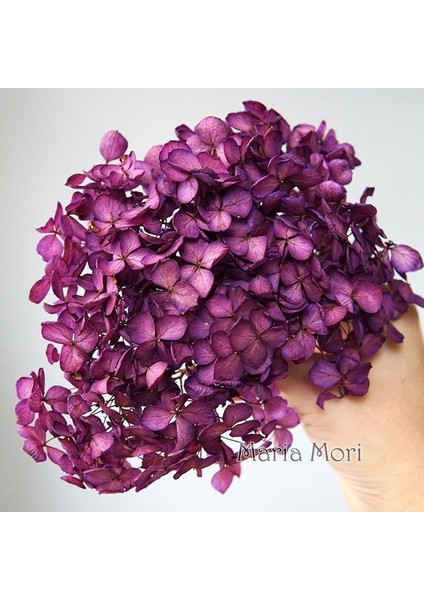 Renk S022 20G Korunmuş Ortanca Anna Ortanca Küçük Yapraklar Dekor Ofis Dekor Dıy Çiçekler Düğün Dekorasyon (Yurt Dışından)