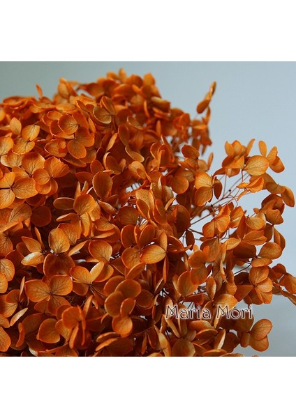 Renk S022 20G Korunmuş Ortanca Anna Ortanca Küçük Yapraklar Dekor Ofis Dekor Dıy Çiçekler Düğün Dekorasyon (Yurt Dışından) modelleri