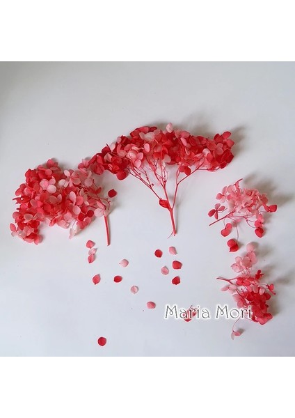 Renk S022 20G Korunmuş Ortanca Anna Ortanca Küçük Yapraklar Dekor Ofis Dekor Dıy Çiçekler Düğün Dekorasyon (Yurt Dışından) fırsatları