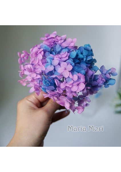 Renk S022 20G Korunmuş Ortanca Anna Ortanca Küçük Yapraklar Dekor Ofis Dekor Dıy Çiçekler Düğün Dekorasyon (Yurt Dışından) indirimleri