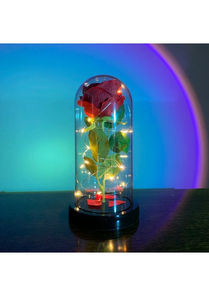 003 2020 LED Büyülü Galaxy Gül Ebedi 24K Altın Folyo Çiçek Noel Sevgililer Günü Hediyesi Için Kubbede Peri Dize Işıkları ile (Yurt Dışından) modelleri