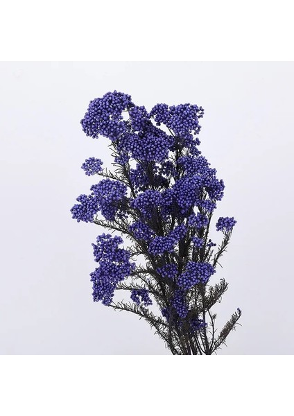 Derın Mor 60G 60/120G Doğal Darı Çiçek Gerçek Ebedi Pirinç Çiçek Buketi Dıy Mum Reçine Aksesuarları Oturma Odası Ev Düğün Dekor Için (Yurt Dışından)