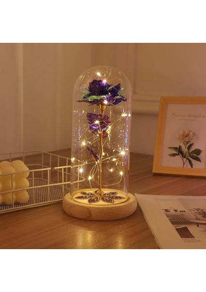 047 2020 LED Magic Galaxy Rose Ebedi 24K Altın Folyo Çiçek Kubbe Peri Dize Işıklar Noel Sevgililer Günü Anneler Günü Hediyesi (Yurt Dışından) fırsatları