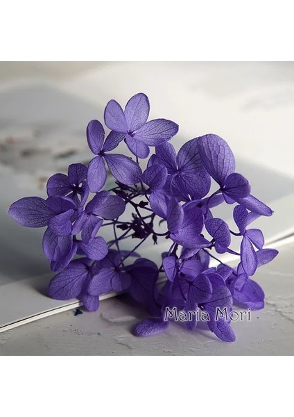 Renk H.P030 10G Korunmuş Ortanca Paniculata Çiçekler Elips Yapraklar Ofis Dekor Kristal Tutkal Dıy Çiçekler Kokulu Mumlar Malzeme (Yurt Dışından)
