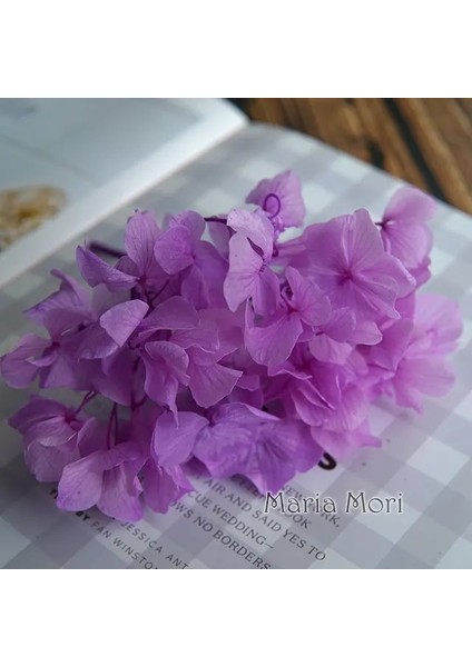Renk M031 5g Büyük Yaprakları Macrophylla Korunmuş Ortanca Ofis Dekor Korunmuş Çiçekler Ev Dekorasyon Anna Ortanca Düğün Dekorasyon (Yurt Dışından)