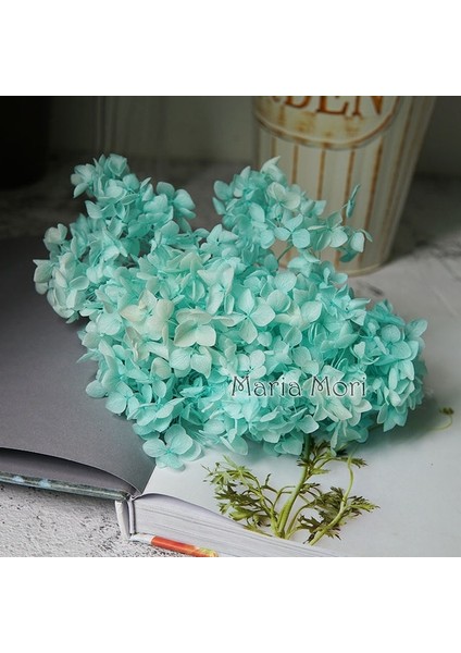 Renk 55 20G Renkli Korunmuş Ortanca Ev Dekorasyon Düğün Dekorasyon Küçük Yaprak Anna Ortanca Epoksi El Yapımı Dıy Malzeme (Yurt Dışından)