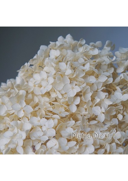 Renk 55 20G Renkli Korunmuş Ortanca Ev Dekorasyon Düğün Dekorasyon Küçük Yaprak Anna Ortanca Epoksi El Yapımı Dıy Malzeme (Yurt Dışından) fiyatları