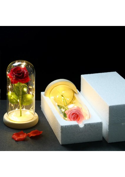 019 2022 LED Büyülü Galaxy Gül Ebedi 24K Altın Folyo Çiçek Noel Sevgililer Günü Hediyesi Için Kubbede Peri Dize Işıkları ile (Yurt Dışından) modelleri