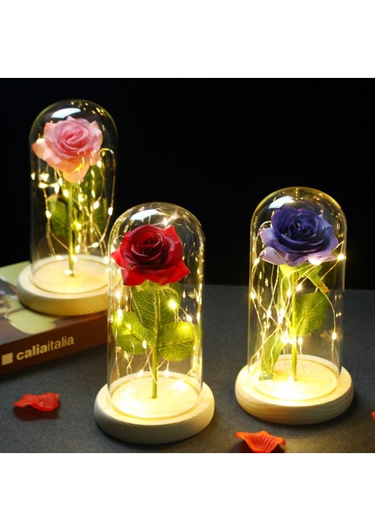 019 2022 LED Büyülü Galaxy Gül Ebedi 24K Altın Folyo Çiçek Noel Sevgililer Günü Hediyesi Için Kubbede Peri Dize Işıkları ile (Yurt Dışından) fırsatları