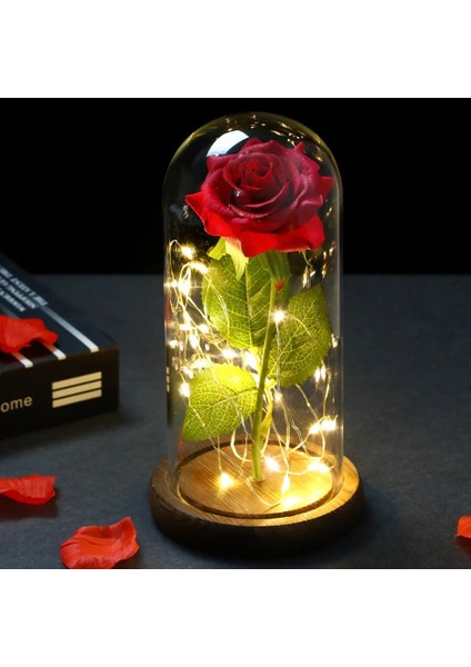 019 2022 LED Büyülü Galaxy Gül Ebedi 24K Altın Folyo Çiçek Noel Sevgililer Günü Hediyesi Için Kubbede Peri Dize Işıkları ile (Yurt Dışından) indirimleri