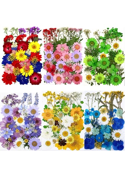 Stil 1 1 Torba Kurutulmuş Çiçekler Preslenmiş Çiçekler Çıkartmalar Dıy Telefon Kılıfı Için Epoksi Reçine Dolum Kolye Takı Yapımı El Sanatları Tırnak Sanat Dekoru (Yurt Dışından) fiyatları