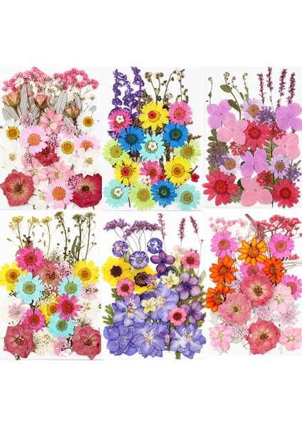 Stil 1 1 Torba Kurutulmuş Çiçekler Preslenmiş Çiçekler Çıkartmalar Dıy Telefon Kılıfı Için Epoksi Reçine Dolum Kolye Takı Yapımı El Sanatları Tırnak Sanat Dekoru (Yurt Dışından) modelleri