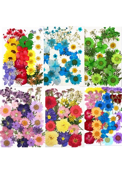 Stil 1 1 Torba Kurutulmuş Çiçekler Preslenmiş Çiçekler Çıkartmalar Dıy Telefon Kılıfı Için Epoksi Reçine Dolum Kolye Takı Yapımı El Sanatları Tırnak Sanat Dekoru (Yurt Dışından) fırsatları