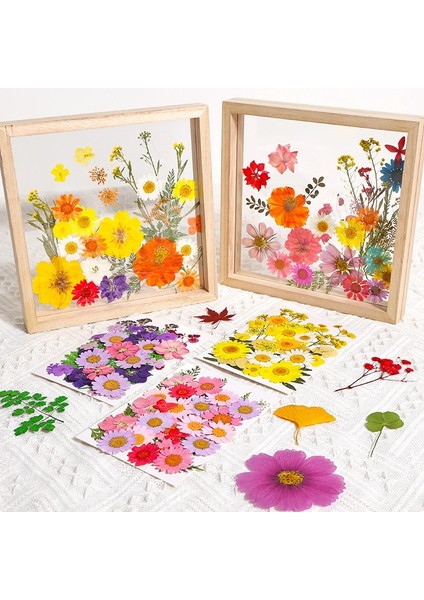 Stil 1 1 Torba Kurutulmuş Çiçekler Preslenmiş Çiçekler Çıkartmalar Dıy Telefon Kılıfı Için Epoksi Reçine Dolum Kolye Takı Yapımı El Sanatları Tırnak Sanat Dekoru (Yurt Dışından) indirimleri