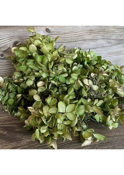 08 6.5g/yaklaşık 3 ~ 4 cm Çiçek Yaprağı, Gerçek Doğal Taze Korunmuş Çiçekler Kurutulmuş Ahşap Ortanca Çiçek Kafa, Ebedi Büyük Yapraklı Ortancalar (Yurt Dışından)