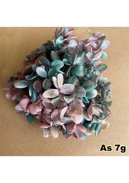 08 6.5g/yaklaşık 3 ~ 4 cm Çiçek Yaprağı, Gerçek Doğal Taze Korunmuş Çiçekler Kurutulmuş Ahşap Ortanca Çiçek Kafa, Ebedi Büyük Yapraklı Ortancalar (Yurt Dışından)