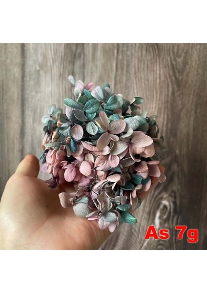 08 6.5g/yaklaşık 3 ~ 4 cm Çiçek Yaprağı, Gerçek Doğal Taze Korunmuş Çiçekler Kurutulmuş Ahşap Ortanca Çiçek Kafa, Ebedi Büyük Yapraklı Ortancalar (Yurt Dışından)