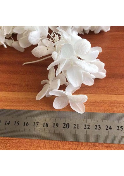 08 6.5g/yaklaşık 3 ~ 4 cm Çiçek Yaprağı, Gerçek Doğal Taze Korunmuş Çiçekler Kurutulmuş Ahşap Ortanca Çiçek Kafa, Ebedi Büyük Yapraklı Ortancalar (Yurt Dışından)