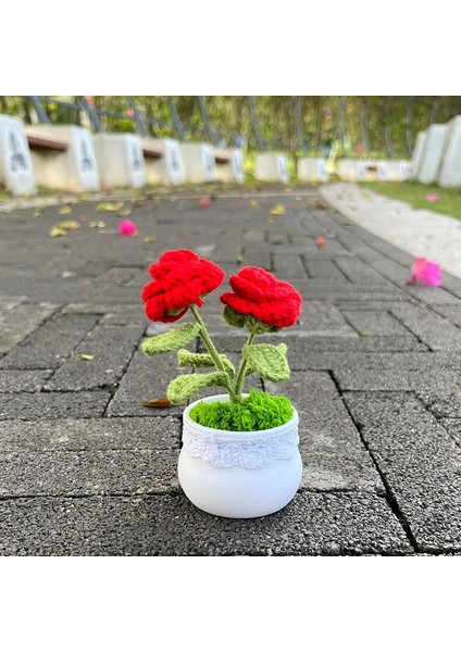 Noel Ağacı Tığ Işi Ayçiçeği Saksı Bitki, Sahte Çiçek Bonsai, Gül, Kaktüs, Antoryum, Calla, Yonca, Lale, Papatya, Ev Masası Dekoru Için Dokuma Hediye (Yurt Dışından) fırsatları