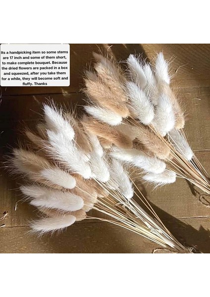 Mix A 60 Adet 60 Adet Mix Lagurus Bunny Kuyrukları Pampas Çim Dekor Ev Kek Dekor Tavşan Kuyrukları Kurutulmuş Çiçekler Boho Için Buket Masa Dekorasyon (Yurt Dışından) fiyatları