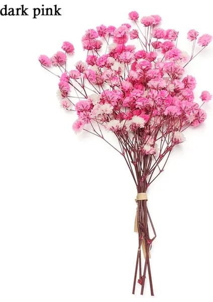 Koyu Pembe Mini Babysbreath Doğal Taze Kurutulmuş Korunmuş Çiçekler Küçük Doğal Kurutulmuş Çiçekler Buket Basın Dekoratif Fotoğraf Arka Fonu Dekor (Yurt Dışından)