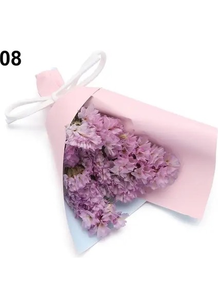 Stil 8 Mini Babysbreath Doğal Taze Kurutulmuş Korunmuş Çiçekler Küçük Doğal Kurutulmuş Çiçekler Buket Basın Dekoratif Fotoğraf Arka Fonu Dekor (Yurt Dışından)