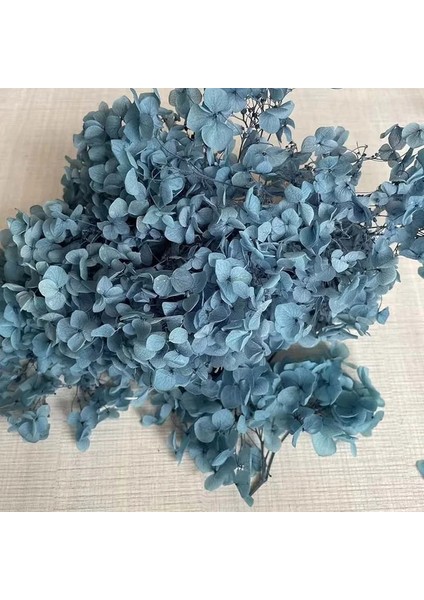 24 5 ~ 5.5 G/grup Doğal Taze Korunmuş Çiçekler Kurutulmuş Küçük Yapraklar Ortanca Çiçek Başları Dıy Gerçek Ebedi Yaşam Çiçekler Malzeme (Yurt Dışından)