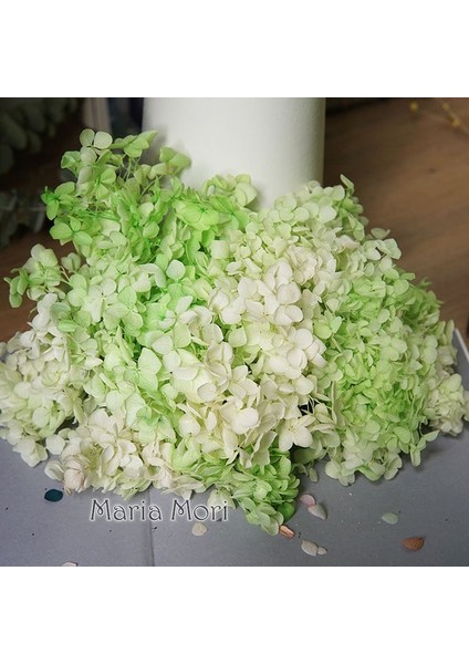 Degrade Renk 58 10G Degrade Renk Korunmuş Ortanca Ev Dekorasyon Düğün Dekorasyon Küçük Yaprak Anna Ortanca Epoksi El Yapımı Dıy Malzeme (Yurt Dışından)