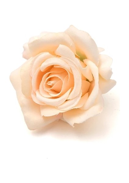 Şampanya Şeftali 30 Adet 30 Adet 5 cm Kavisli Kenar Gül Yapay Ipek Çiçek Başları Düğün Dekorasyon Dıy Doğum Günü Çelenk Scrapbooking Craft Sahte Çiçekler (Yurt Dışından)