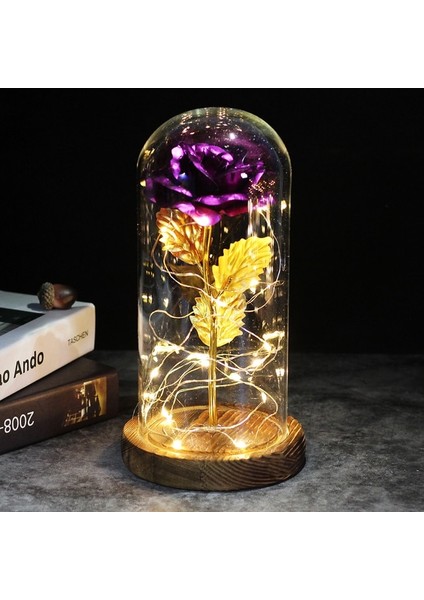 Kahverengi Taban Mor Sıcak LED Büyülü Galaxy Gül Ebedi Güzellik ve Canavar Noel Sevgililer Günü Hediyesi Için Kubbede Peri Işıkları ile Gül (Yurt Dışından)
