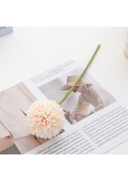 Şampanya 1 Parça 5 Adet Ipek Ortanca Düğün Araba Dekoratif Çiçekler Noel Süslemeleri Vazo Ev Scrapbooking Yapay Bitkiler Için (Yurt Dışından)