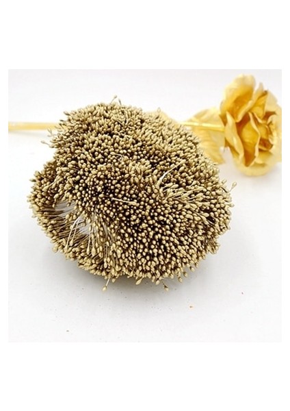 Altın 900 Adet/grup Rastgele Karışık Çift Kafaları Dıy Yapay Mini Inci Çiçek Ercik Pistil 1mm Çiçek Ercik Düğün Dekorasyon Dıy Için (Yurt Dışından)