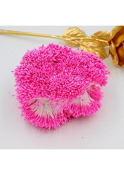 Altın 900 Adet/grup Rastgele Karışık Çift Kafaları Dıy Yapay Mini Inci Çiçek Ercik Pistil 1mm Çiçek Ercik Düğün Dekorasyon Dıy Için (Yurt Dışından) fırsatları