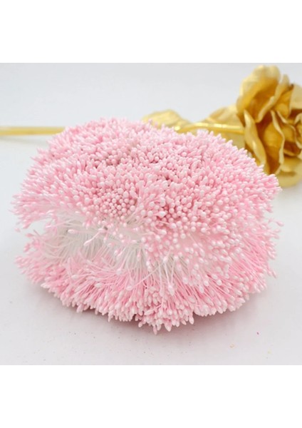 Altın 900 Adet/grup Rastgele Karışık Çift Kafaları Dıy Yapay Mini Inci Çiçek Ercik Pistil 1mm Çiçek Ercik Düğün Dekorasyon Dıy Için (Yurt Dışından) indirimleri