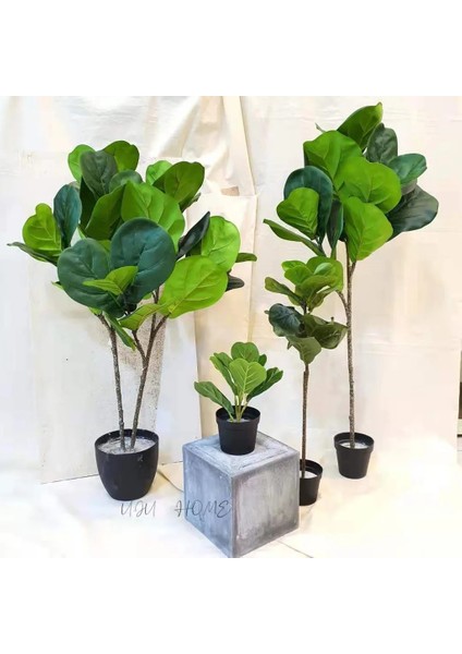 75CM3 Çatal Broşürü Yenı Tropikal Bitkiler Büyük Yapay Ficus Ağacı Şubesi Gerçek Dokunmatik Banyan Ağacı Sahte Palmiye Yaprakları Ev Bahçe Ofis Dekor Için (Yurt Dışından)