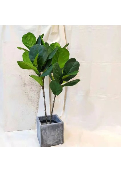 75CM3 Çatal Broşürü Yenı Tropikal Bitkiler Büyük Yapay Ficus Ağacı Şubesi Gerçek Dokunmatik Banyan Ağacı Sahte Palmiye Yaprakları Ev Bahçe Ofis Dekor Için (Yurt Dışından)