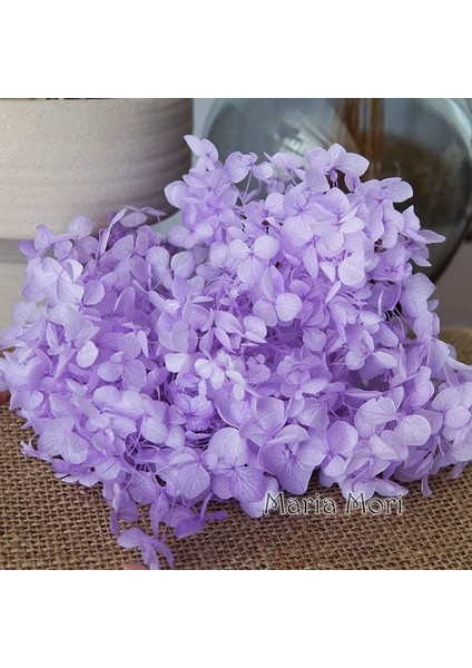 Renk 103 5g Renkli Korunmuş Ortanca Ev Dekorasyon Düğün Dekorasyon Küçük Yaprak Anna Ortanca Epoksi El Yapımı Dıy Malzeme (Yurt Dışından)