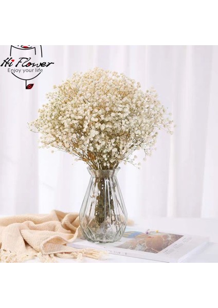 Gökyüzü Mavi 180G Hiçbir Vazo Kurutulmuş Bebek Nefes Çiçek Buketleri Renkli Beyaz Gypsophile Doğal Kuru Çiçek Gypsophila Düğün Dekorasyon Iskandinav Ev Dekor (Yurt Dışından) fiyatları