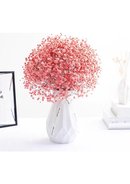 Gökyüzü Mavi 180G Hiçbir Vazo Kurutulmuş Bebek Nefes Çiçek Buketleri Renkli Beyaz Gypsophile Doğal Kuru Çiçek Gypsophila Düğün Dekorasyon Iskandinav Ev Dekor (Yurt Dışından) fırsatları