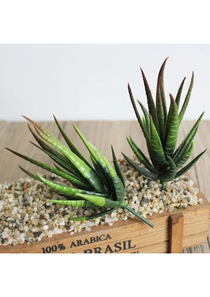 Sarı Jian Zrbanmaluhui Yapay Etli Bitkiler Aloe Zebrina Yapay Bitkiler Peyzaj Sahte Çiçek Aranjmanı Ev Bahçe Dekor Aksesuarları Bitki (Yurt Dışından) fırsatları