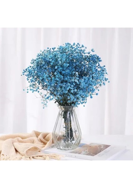 Mavi 120G Hiçbir Vazo Kurutulmuş Bebek Nefes Çiçek Buketleri Renkli Beyaz Gypsophile Doğal Kuru Çiçek Gypsophila Düğün Dekorasyon Iskandinav Ev Dekor (Yurt Dışından)