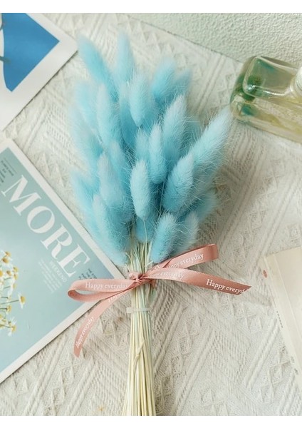 Gökyüzü Mavi 30 Adet Kurutulmuş Tavşan Kuyruğu Çim Lagurus Ovatus Ev Dekor Için Küçük Pampas Çim Boho Dekor Için Düğün Buketleri ve Çiçek Aranjmanı (Yurt Dışından)