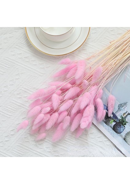 Gökyüzü Mavi 30 Adet Kurutulmuş Tavşan Kuyruğu Çim Lagurus Ovatus Ev Dekor Için Küçük Pampas Çim Boho Dekor Için Düğün Buketleri ve Çiçek Aranjmanı (Yurt Dışından)
