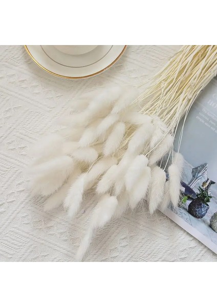 Gökyüzü Mavi 30 Adet Kurutulmuş Tavşan Kuyruğu Çim Lagurus Ovatus Ev Dekor Için Küçük Pampas Çim Boho Dekor Için Düğün Buketleri ve Çiçek Aranjmanı (Yurt Dışından)